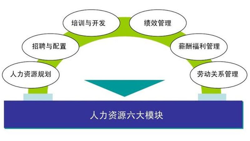 背景调查：企业如何合规获取所需材料**