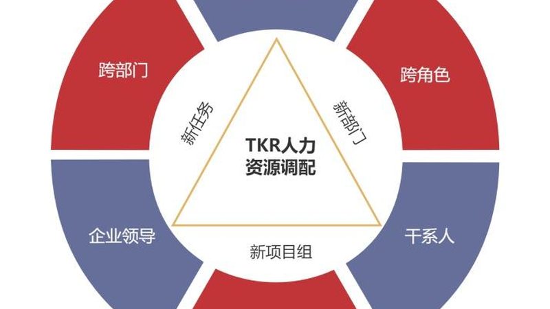 劳务派遣人员养老医疗失业险缴纳比例解析**
